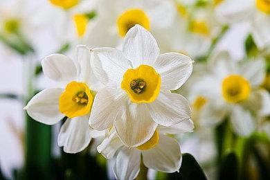 《黑色行动6》季中更新明日上线 僵尸新地图玩法预告